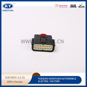 DJK7023Y-2.2-21 4PIN Gason/Fi