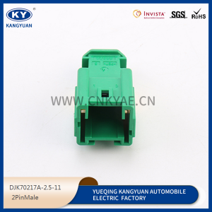 2-контактный штекер DJK70217-2.5-11