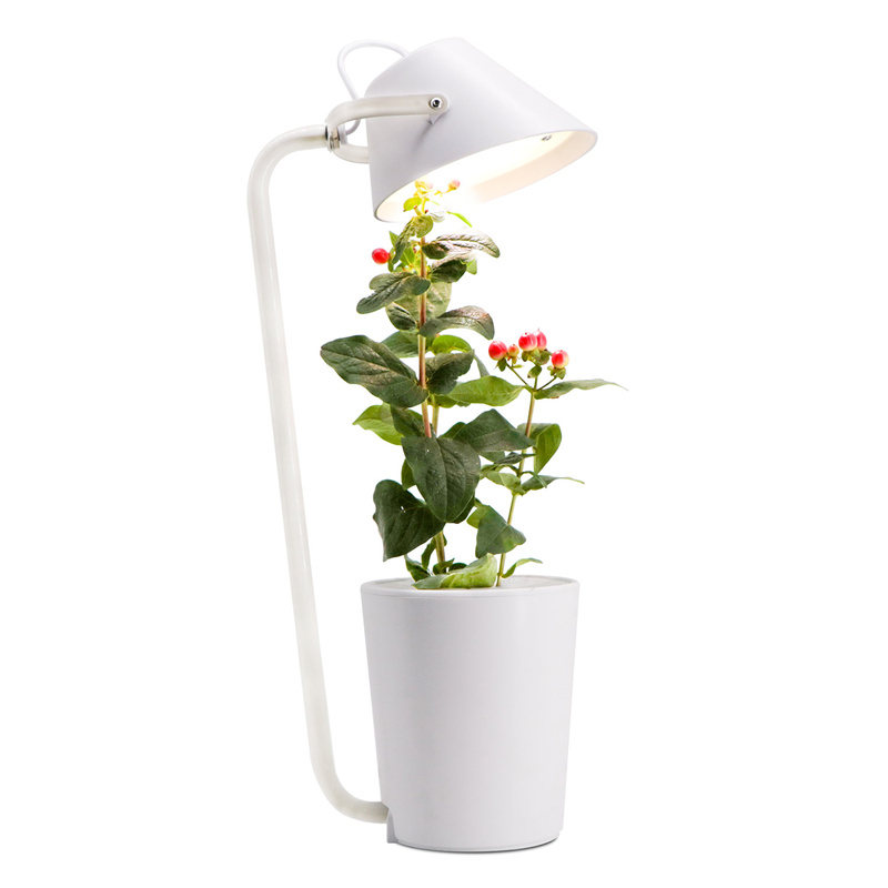 Plant Grow Light / PGL10