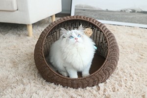 CB05 PP Gwely Cat Rattan