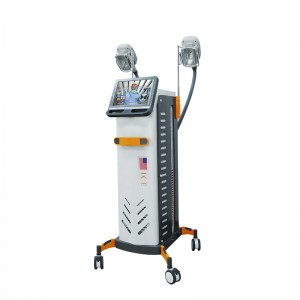 2 in 1 Cooling Fat Body Slimming machine