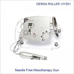 China Wholesale Cellulite Reduction Derma Roller Manufacturers - Needle free mesotherapy Acid Injection skin rejuvenation gun HYZ01 – Zohonice