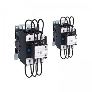 CJ19 (16) rige switching capacitor contactor