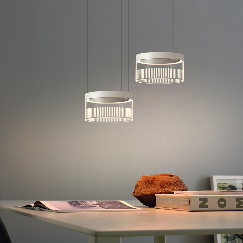 2022 Lamps manufacturer Suspended LED Decorative Lights (5)