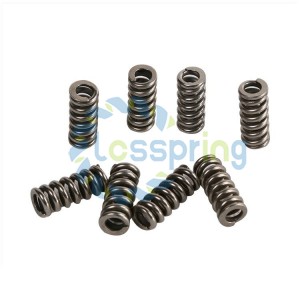Heater Compression Coil Springs 500-600°