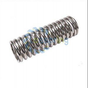 Wholesale Stainless Steel Alloys Springs Factory