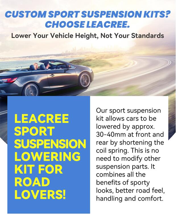 Custom Sport Suspension Kits? Choose Leacree