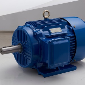 High Performance Induction Motor In Hindi - IE1 series three-phase asynchronous motor – Leadrive