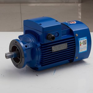 Factory Free sample Domestic Water Pump Motor - Three-phase asynchronous motor for reducer – Leadrive