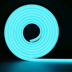 neonska LED flex vrv4