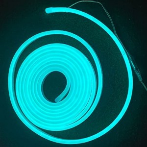 neon led flex touw