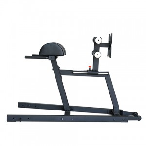 Προσαρμοσμένη επαγγελματική καρέκλα γυμναστικής σταυρωτής τοποθέτησης GHD Roman
