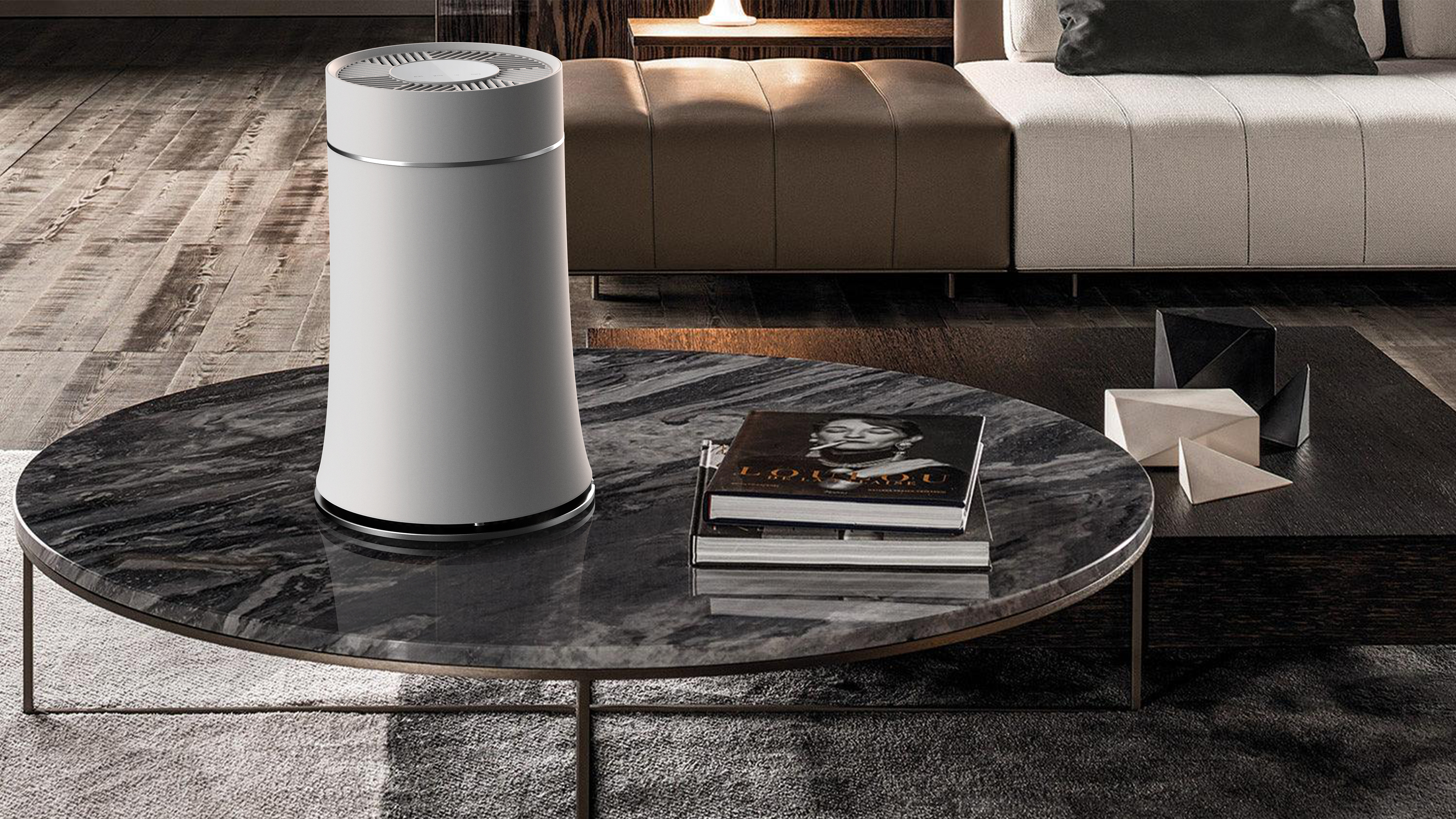 What to Consider When Buying an Air Purifier?