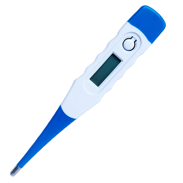 Thermomètre numérique oral et rectal à tête souple Image en vedette