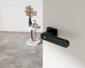 អ្នកផ្គត់ផ្គង់ដែលអាចទុកចិត្តបាន ប្រព័ន្ធចាក់សោរទ្វារគ្រឿងសង្ហារឹម Smart Black Silver Smart Home Waterproof Keyless Privacy Protection Fingerprint Cabinet Lock for Box/Case/Drawer