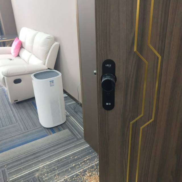 LEIU इंटेलजंट कीलेस इलेक्ट्रॉनिक दरवाजाचे कुलूप अंतर्गत दरवाजा आणि बाहेरील दरवाजासाठी
