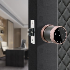 Tuya Smartlife Doorlock Smart Home Alarma blokeoa Tuya Smart Lock