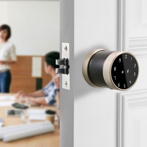 Kata Sandi Sidik Jari Elektronik Smart Door Lock Frameless Sliding Glass Aluminium Tuya App Siap Dikirim