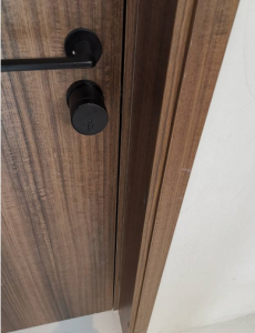Leiu Intellgent Keyless Electronic Door Lock kanggo Interior Door lan Front Door