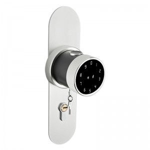 Remote Lock/Unlock para sa Home Security