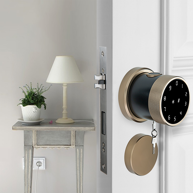 Kata Sandi Sidik Jari Elektronik Smart Door Lock Frameless Sliding Glass Aluminium Tuya App Siap Dikirim
