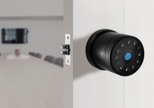 Kartu IC Sidik Jari LeiU Smart Door Lock dengan tombol Fisik