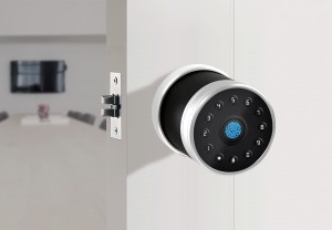 Smart Phone Biometric Fingerprint Key Electronics Password Bedroom Home Wood Tuya Door Lock