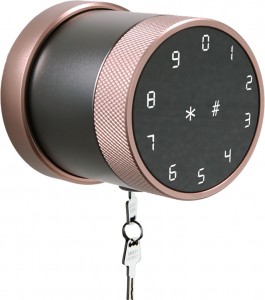 Tuya Smartlife Smart Home Door Lock dengan Kartu RFID dan Kata Sandi