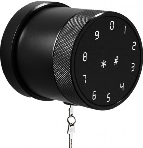 Tuya Smartlife スマート ホーム ドア ロック (RFID カードとパスワード付き)