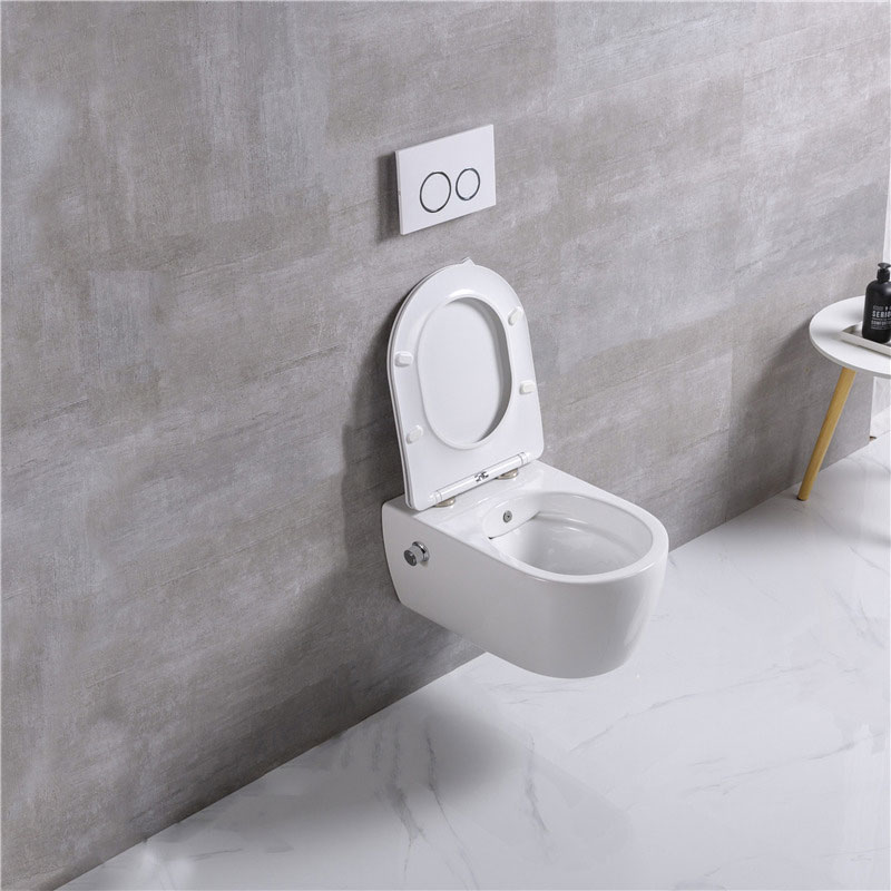 European inodoro ceramic wc wall mounted toilet with bidet function hot and cold