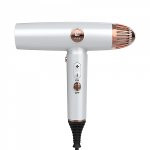 LS-082B Secador de cabelo para salão de cabeleireiro com visor digital Secador de cabelo de íon negativo