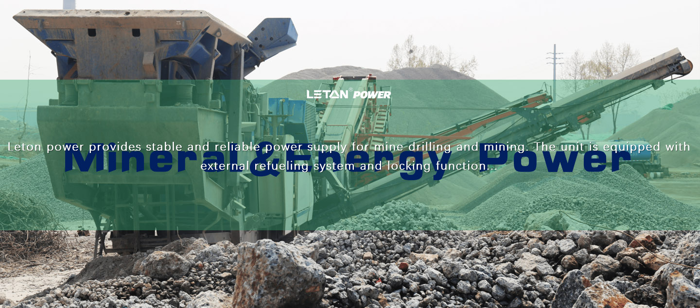 Supportu di l'energia di l'energia minerale LETON power diesel generator setImage