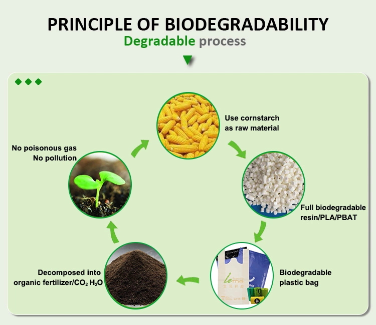 Perspektiven fir biodegradéierbar Plastikstuten