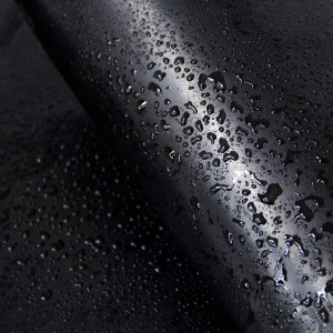 China Smooth Geomembrane Supplier –  High Density Polyethylene Blowing Geomembrane Pond Liner Sheet From China  – LANHUA GROUP