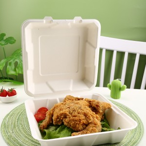 Sugarcane 9 Inches Lunch Box