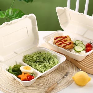 Sugarcane 9 × 6 One-compartiment Lunch Box
