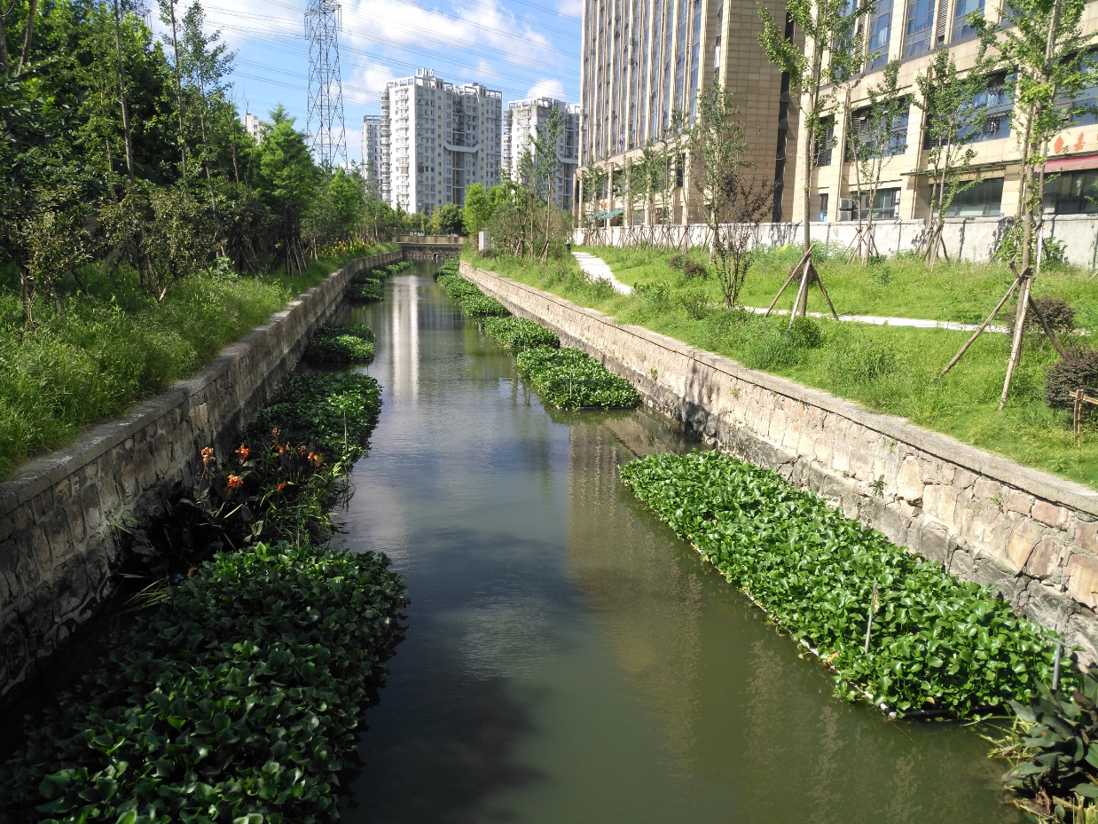 Key points for water quality testing operations in sewage treatment plants part seven