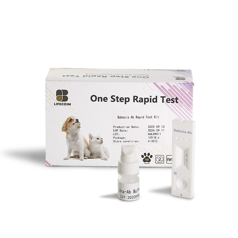 கால்நடை மருத்துவ பயன்பாட்டிற்கான Lifecosm Canine Babesia gibsoni Ab Test Kit