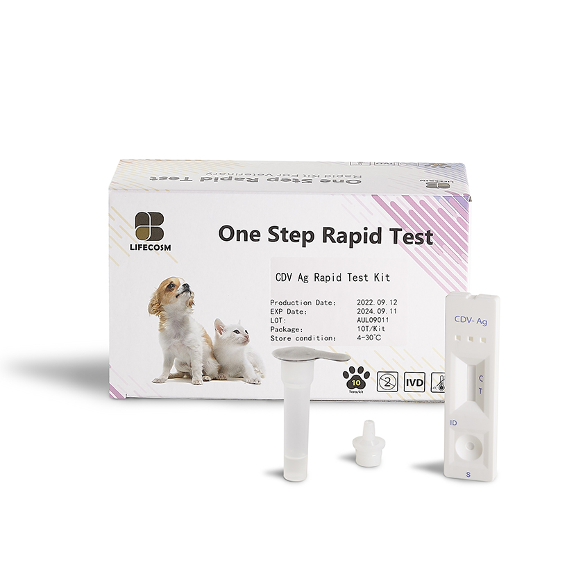 애완 동물 테스트를 위한 Lifecosm Canine Distemper Virus Ag 테스트 키트