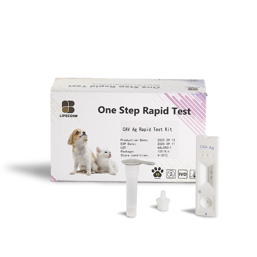 Lifecosm Canine Adenovirus Ag Test Kit kanggo Pet test nggunakake