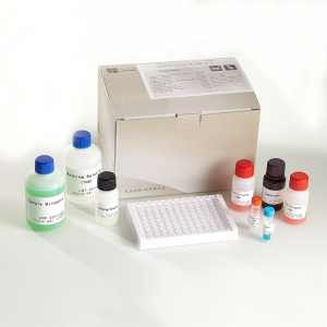 Kit di test ELISA per l'anticorpi di l'influenza aviaria di sottotipu H7