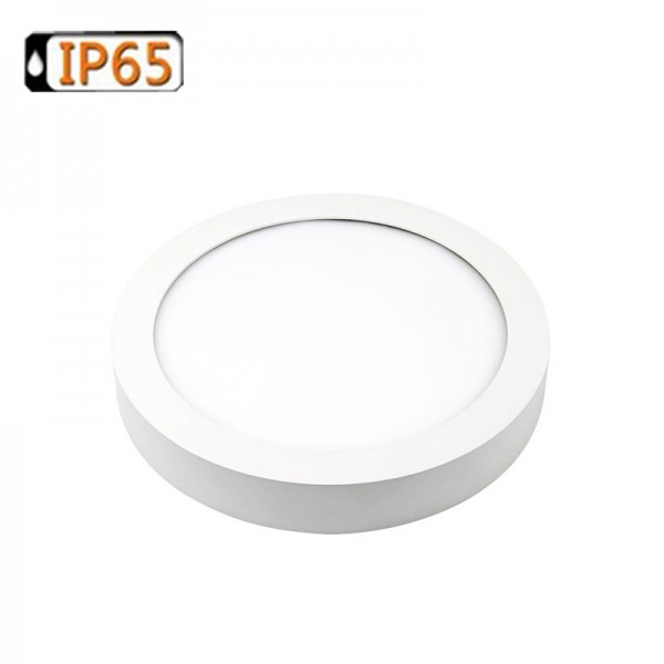 15W 200mm Small Round IP65 LED Surface Ceiling Panel Light