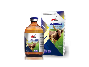 Marbofloxacin-Injektion 10 %