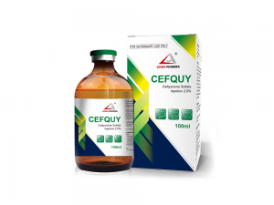 Cefquinome Sulfate Injection 2,5 %