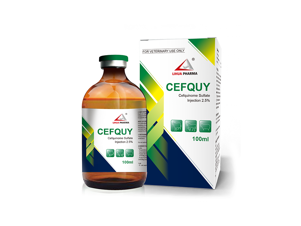 Cefquinom-Sulfat-Injektion 2,5 % Ausgewähltes Bild