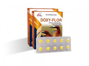 Florfenicol + Doxycycline HCl + Bromhexine HCl Tablets 20mg+10mg+0.04mg