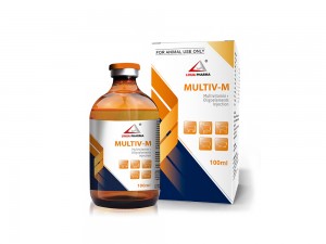 Injeksi Multivitamin