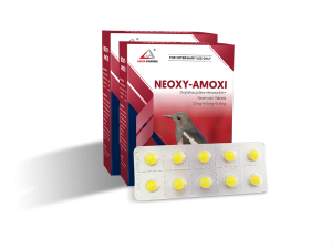 Oxytetracycline+Amoxicillin+Neomycin Tablets  12mg+9.6mg+9.6mg