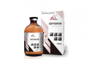 Ceftiofur Injection 5%