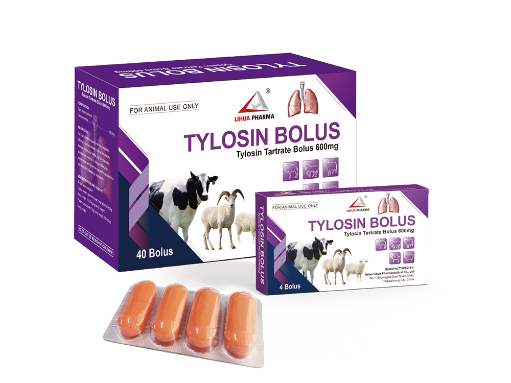Tylosin Tartrate Bolus 600mg Featured Image